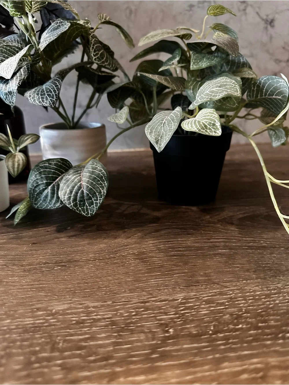 Bundle of 4 Faux Plants🪴